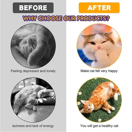 🐈Folded cat tunnel🔥Buy 2 Get 1 Free🔥